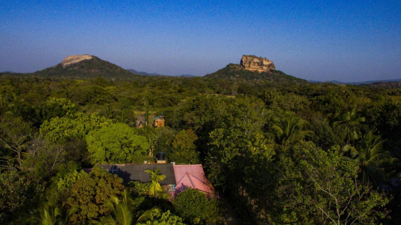 Hotel Sigiriya Rock Gate Tree House Exterior foto