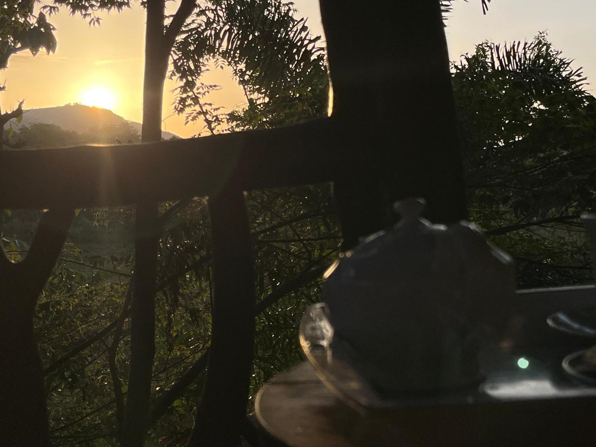 Hotel Sigiriya Rock Gate Tree House Exterior foto
