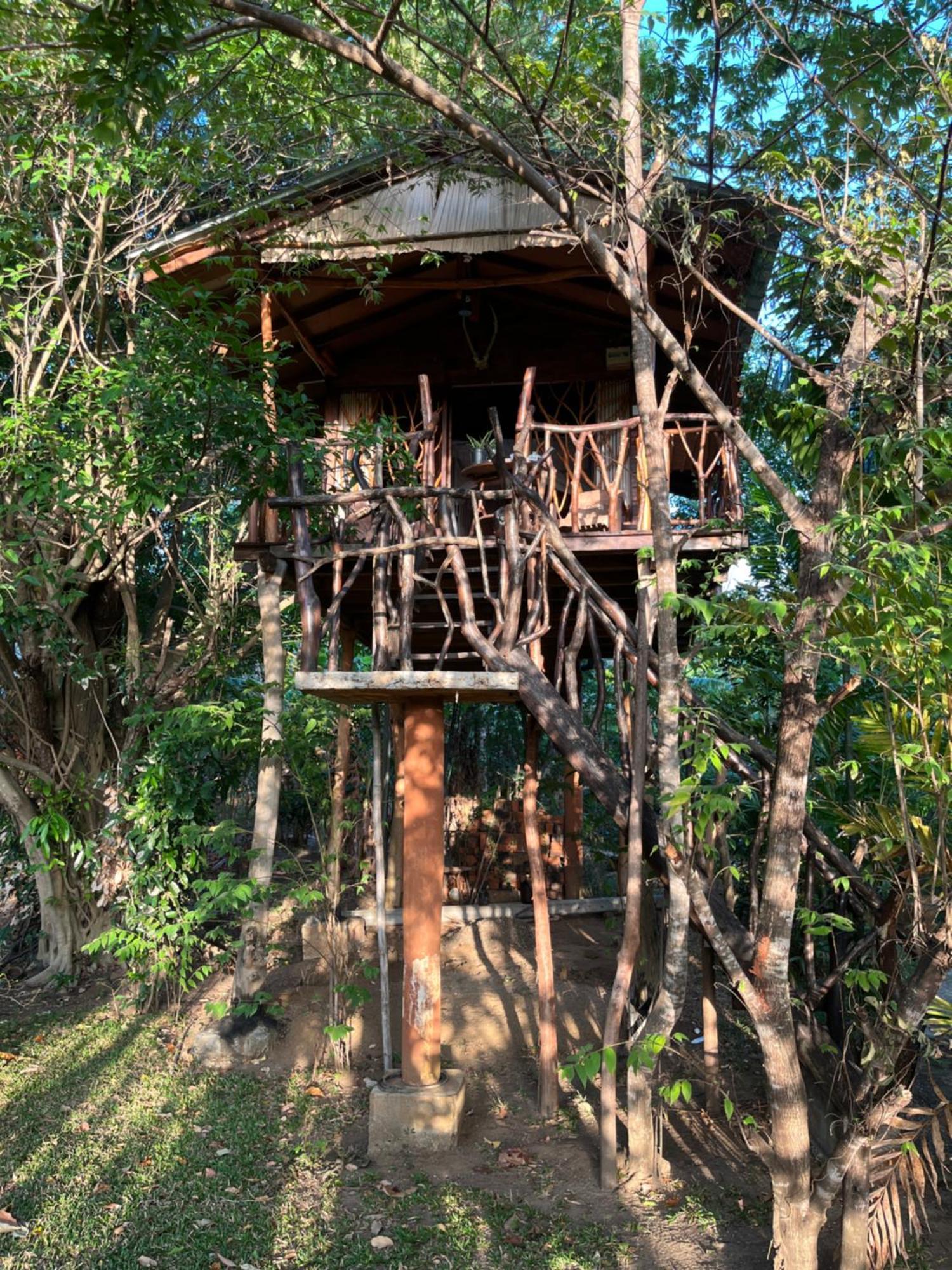 Hotel Sigiriya Rock Gate Tree House Zimmer foto